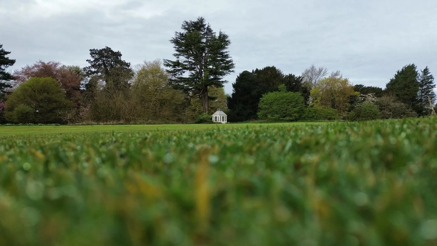 The weather was kind and allowed us to get the drone up to provide a detailed map of the site which we were carrying out a tree survey of.