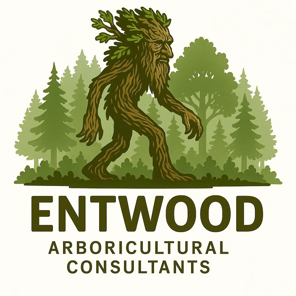 Entwood Arboricultural Consultants