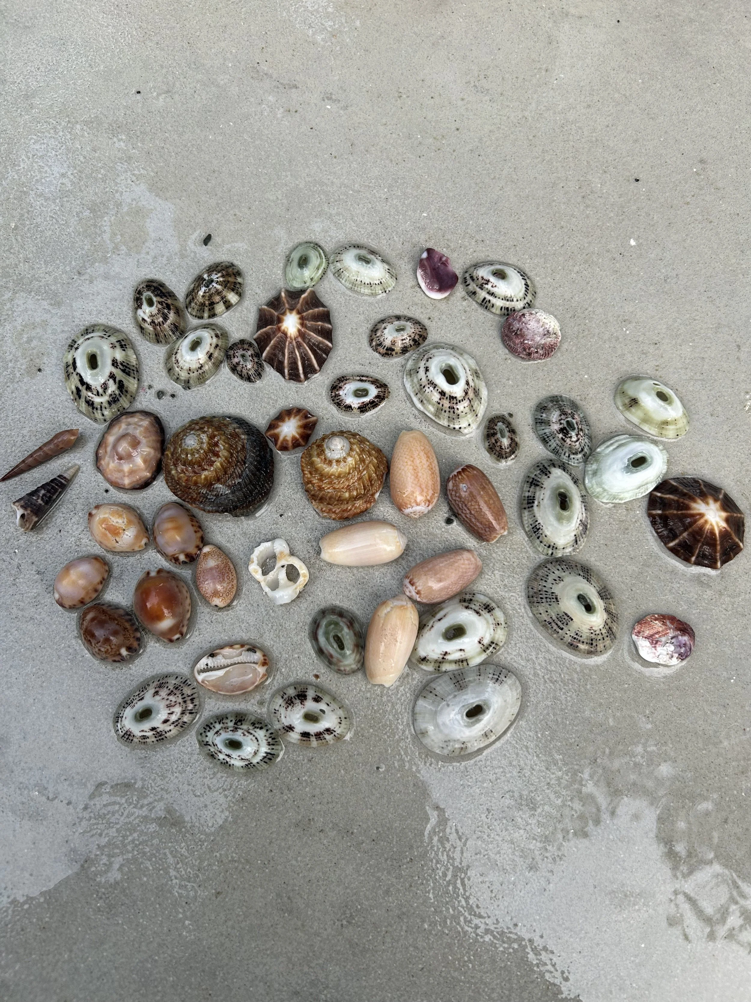 Birth Wisdom Coaching (1:1 Online Session)