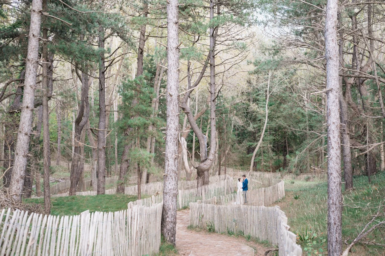 photo d'un couple de mariés dans les dunes de la baie d'Authie a Berck, entouré de pins