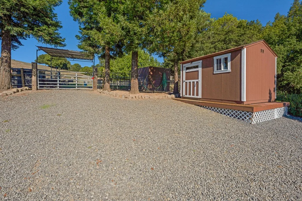 A small brown shed with white trim on a raised wooden platform, surrounded by gravel and trees, with a fenced area and clear blue sky in the background.