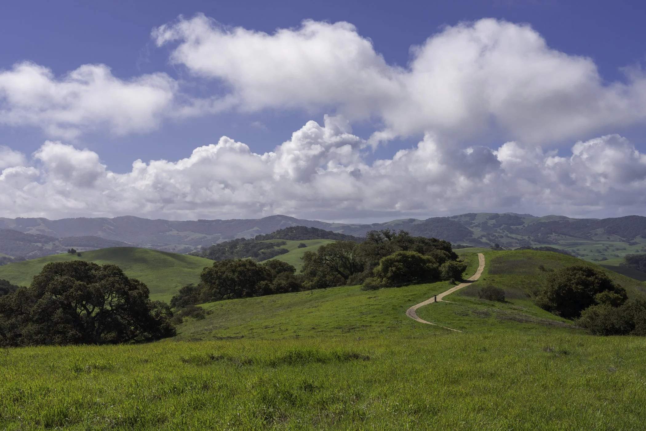 Rolling green hills with scattered trees, a winding dirt path, and a partly cloudy blue sky.