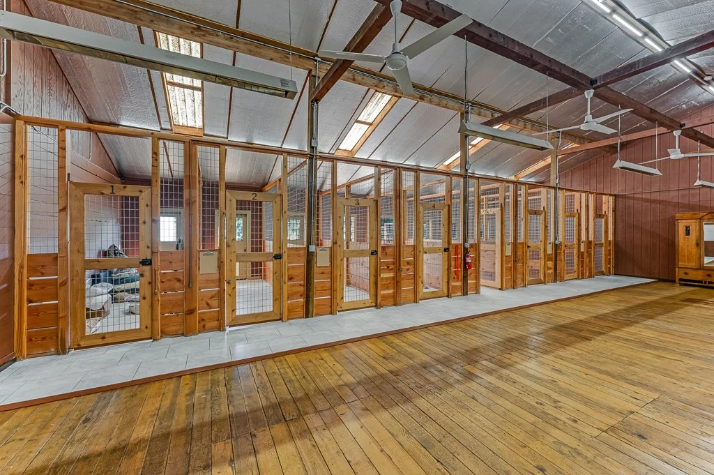 Indoor dog kennel with multiple separate enclosures made of wood and wire, in a spacious room with wooden flooring, ceiling fans, and skylights.