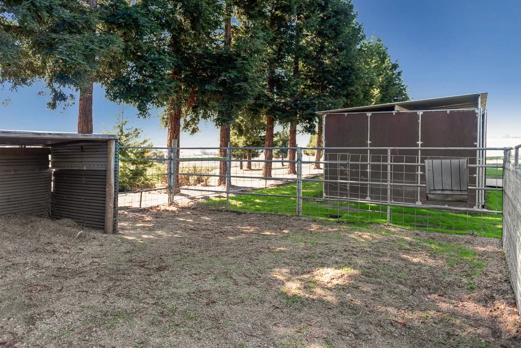 An outdoor horse paddock with dirt ground, surrounded by metal fencing and trees in the background. There are two dark-colored structures, one on each side of the paddock.