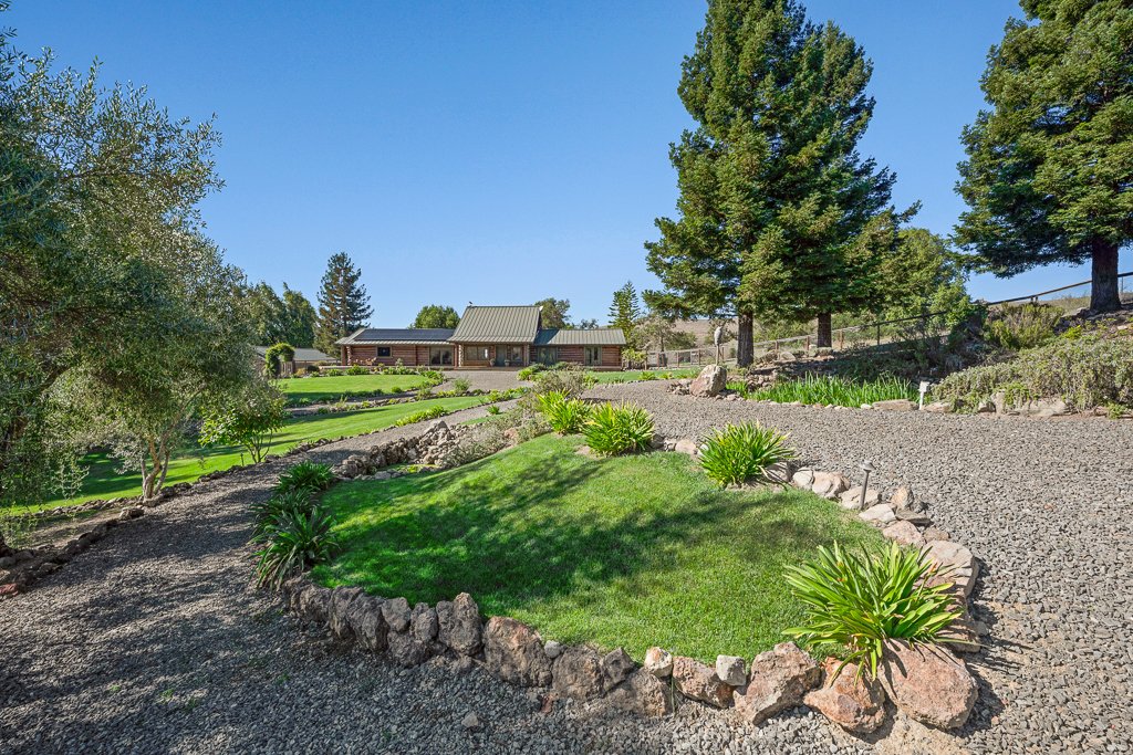 A landscaped yard with green grass, trees, and shrubs, with a pathway leading to a house in the background under a clear blue sky.