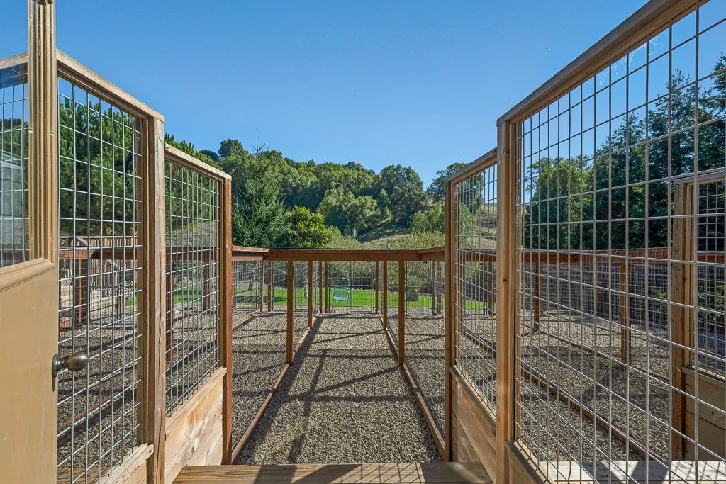 View of a wooden outdoor animal enclosure with wire fencing, surrounded by trees and a grassy area, under a clear blue sky.