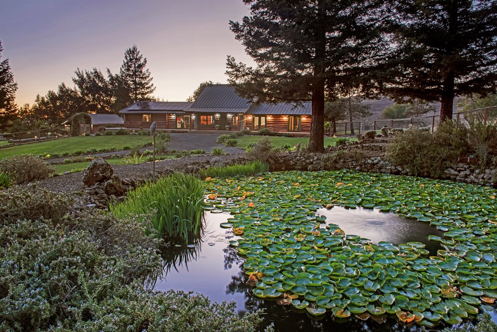 A serene garden scene at dusk featuring a pond with lily pads, surrounded by lush plants and tall trees, with a large log cabin-style house in the background and soft lighting.