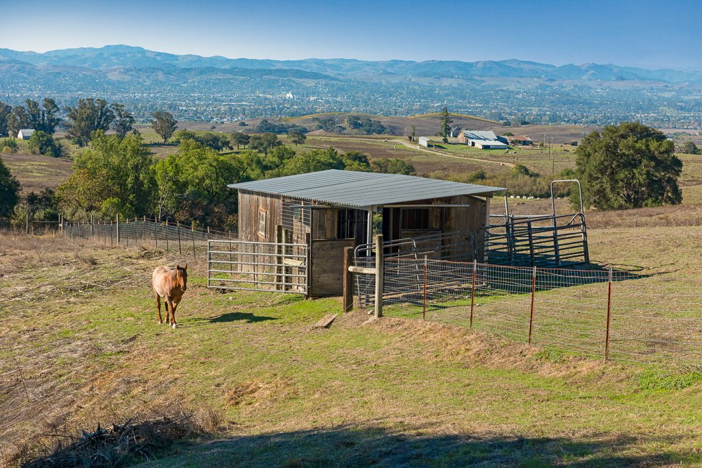 A rural landscape with a small wooden barn, a horse standing nearby, and rolling hills in the background under a clear blue sky.