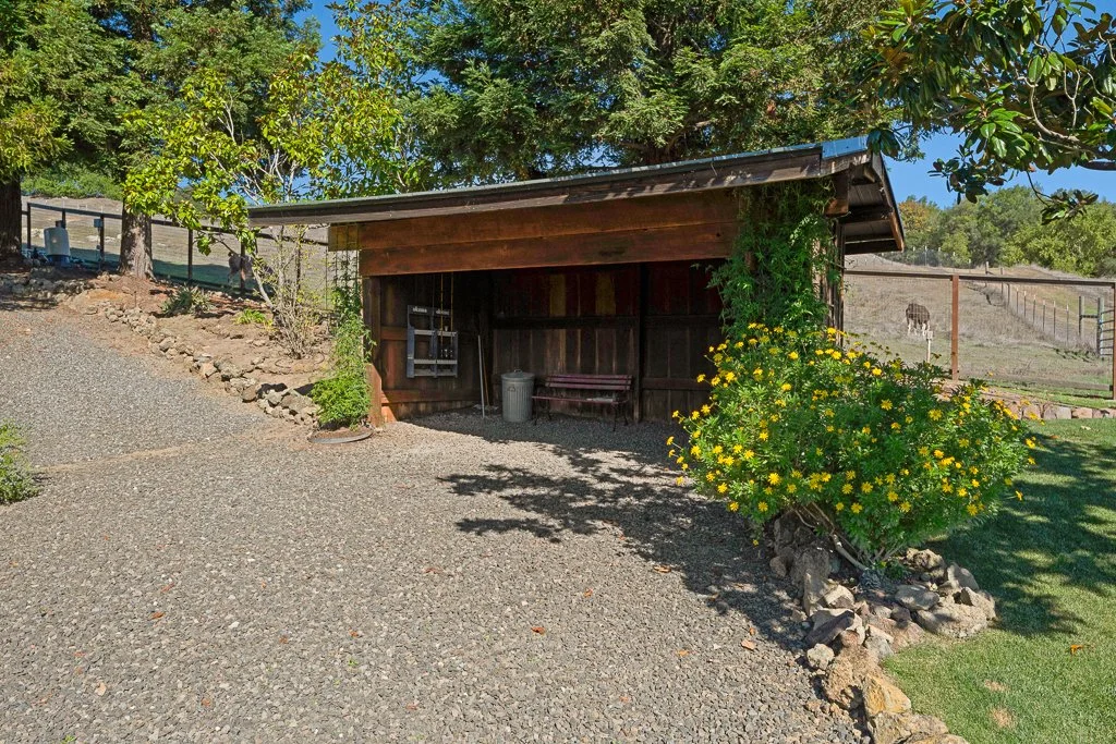 A small wooden shelter with a metal roof next to a flowering shrub with yellow flowers and a trash can inside, surrounded by a gravel and grassy area with trees and a fence in the background.