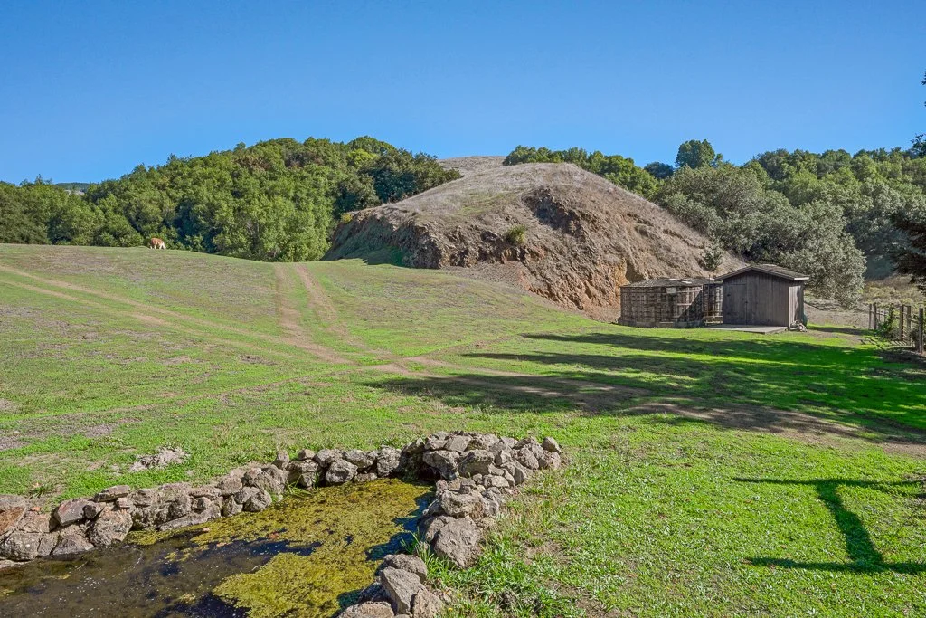 A rural landscape with green grassy fields, a small pond with rocks, a wooden barn, a hill with trees, and a clear blue sky.
