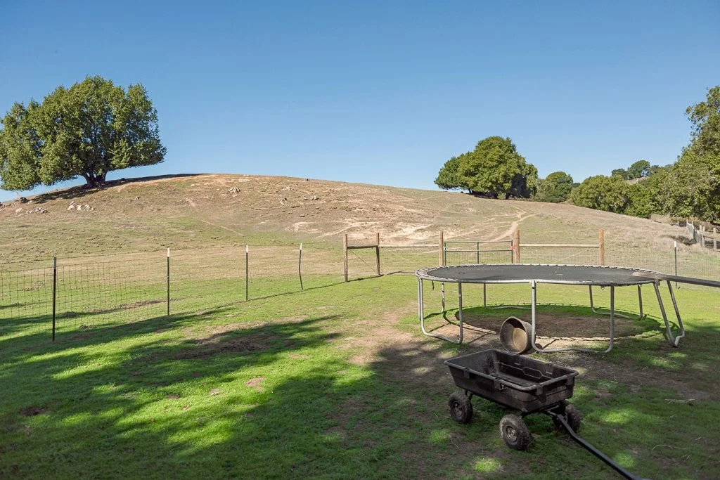 A backyard with green grass, a trampoline, and a small wagon. In the background, there is a hill with trees on top and a fencing around the yard, under a clear blue sky.