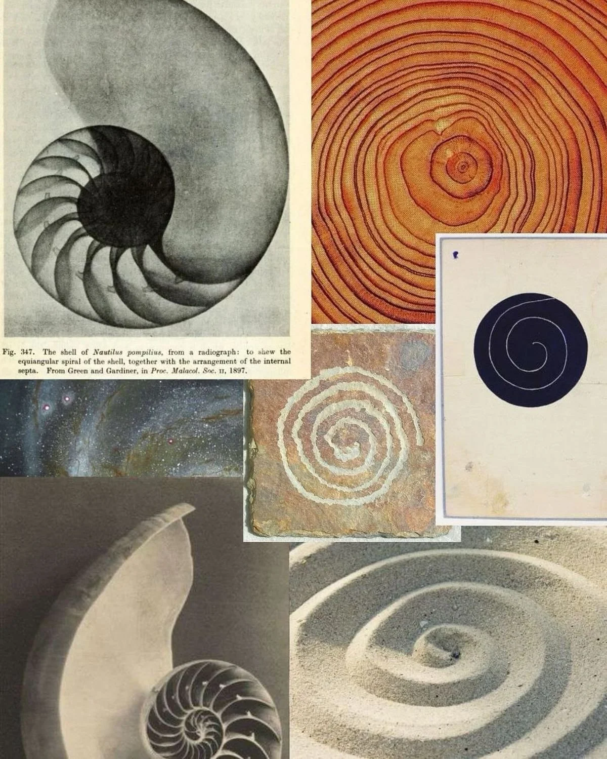 From the Akasha: guidance for week of 12 jan