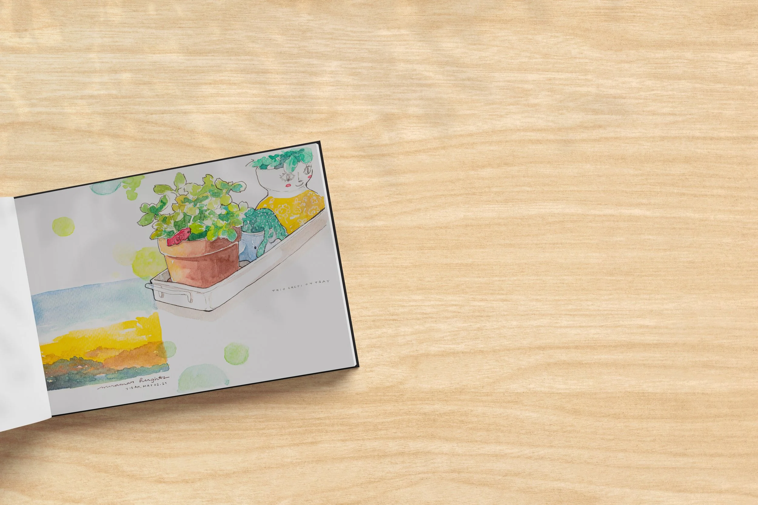 Watercolor doodle of daily life featuring cacti collection and a quick sunset scribble