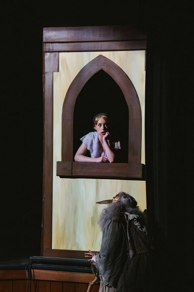 A woman with short hair looks thoughtfully out of a painted window frame as a woman in a gray cloak with a long nose mask leans on a bench below.