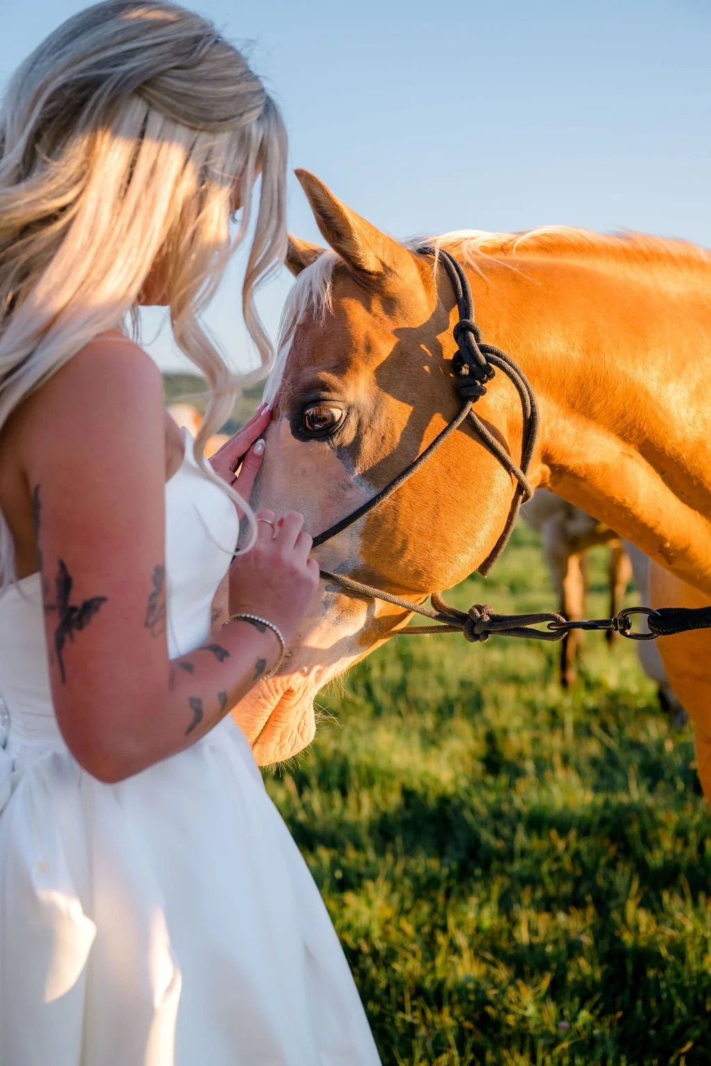 Diamond-Cross-Wedding-Bride-Horse.jpg