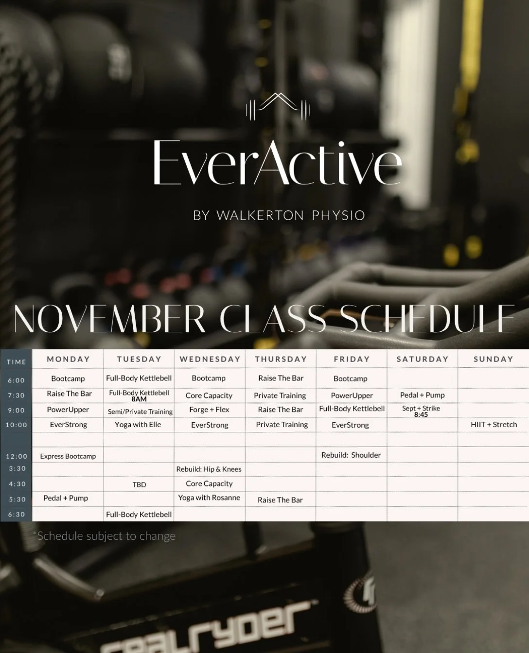 NOVEMBER SCHEDULE IS LIVE! 🤍💪

A new month of movement is almost here! Our November schedule is officially available to book through Kilo, so grab your favourite classes and join the fun at EverActive!

✨ Our 6-week Rebuild programs are also starti
