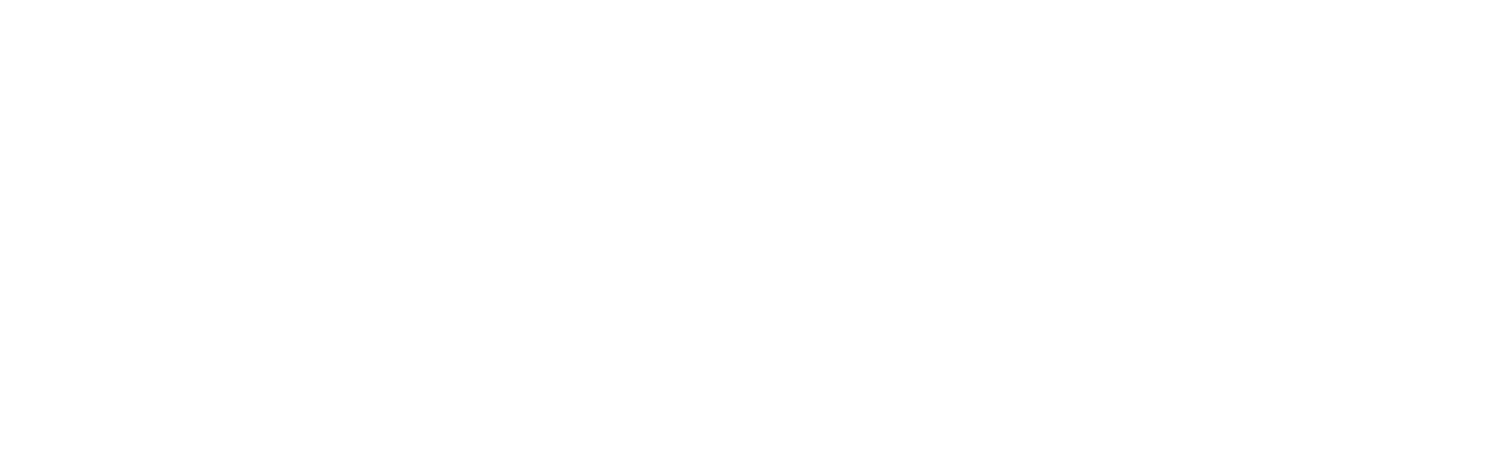 Text logo for Walkerton Physiotherapy & Sports Injury Clinic in white on a black background.