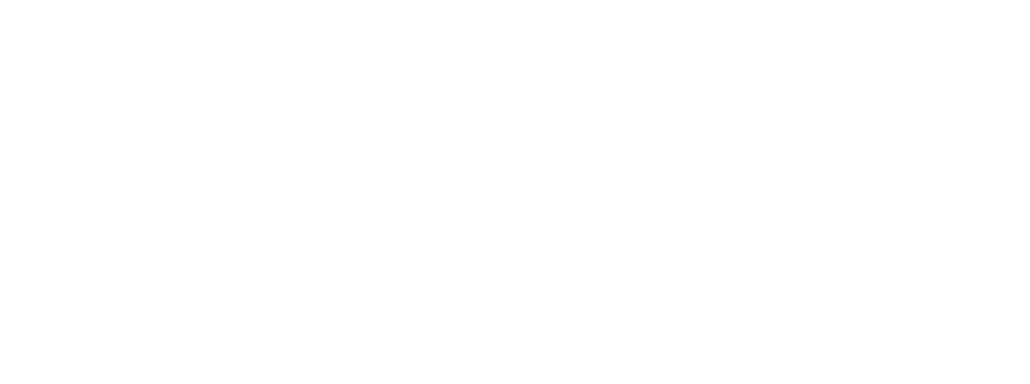Logo for Walkerton Physiotherapy & Sports Injury Clinic with stylized white text on a black background. EverActive Boutique Fitness Walkerton, Physiotherapist Led Exercise, Functional Strength Training, Post-Rehab Wellness Ontario.