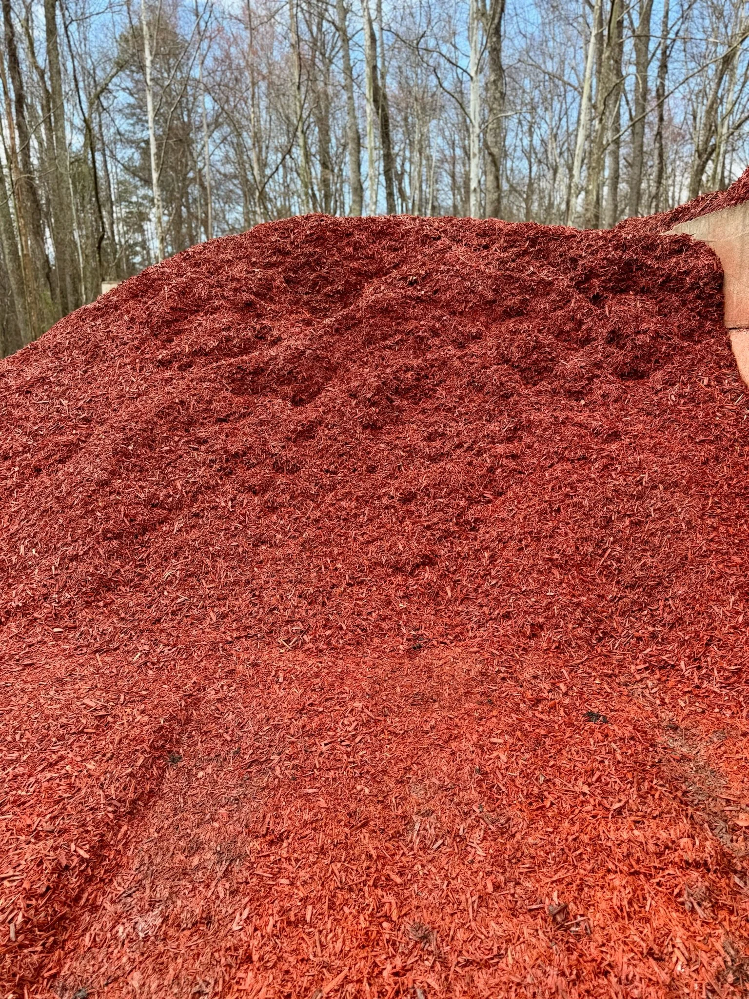 Red Mulch