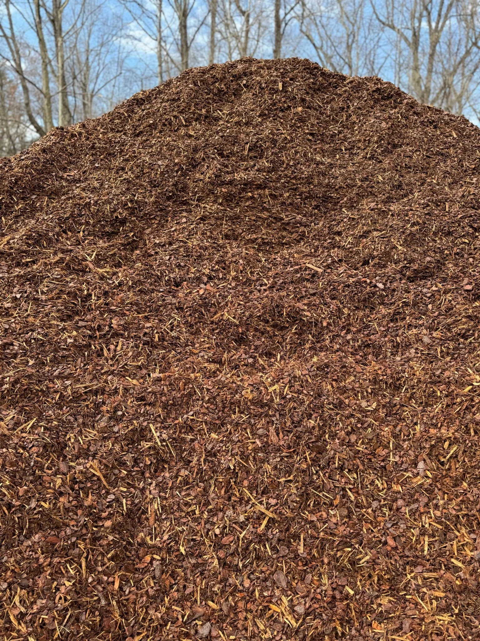 Cedar Mulch