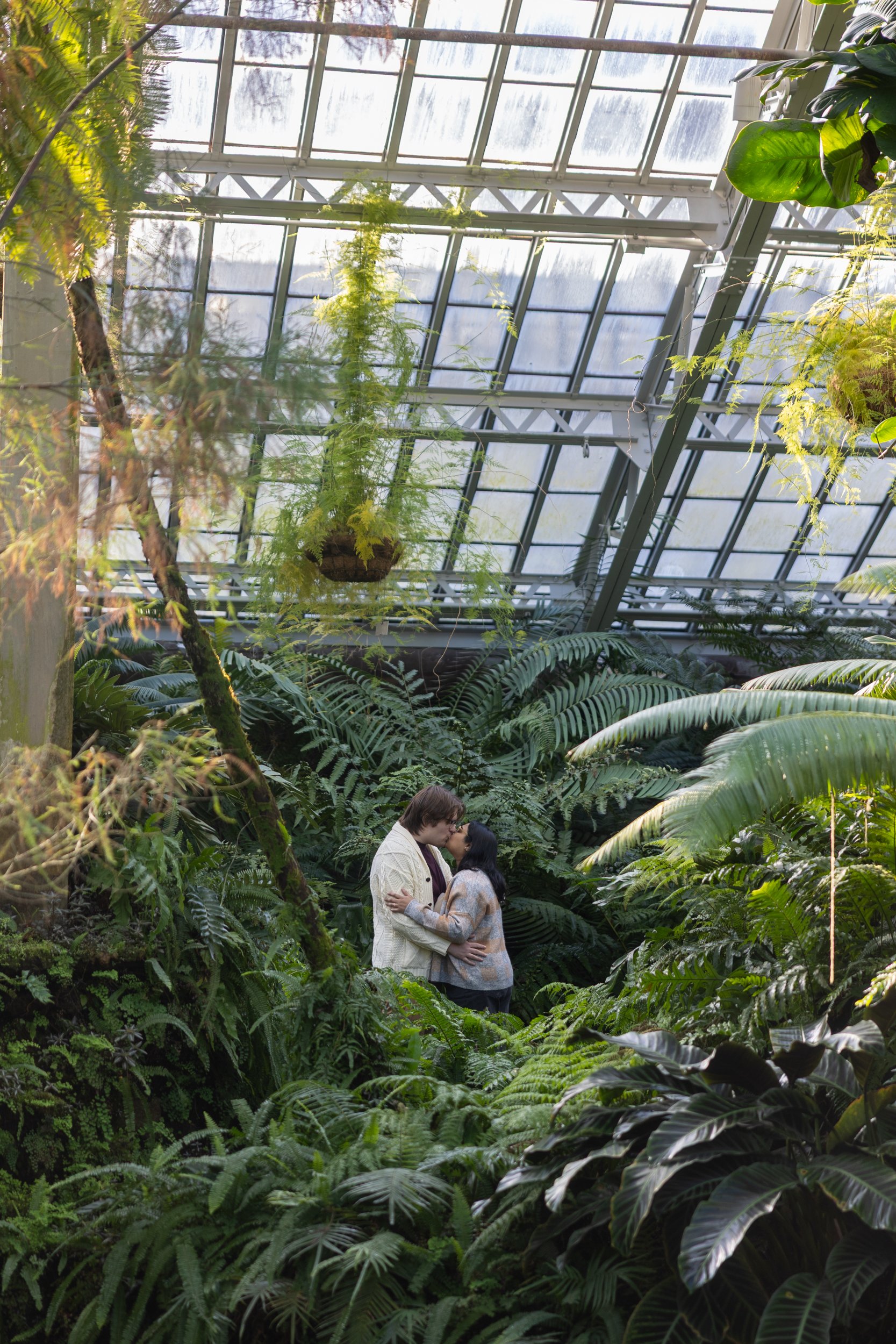 A couple kissing in a lush, tropical greenhouse with large green plants and a glass ceiling.