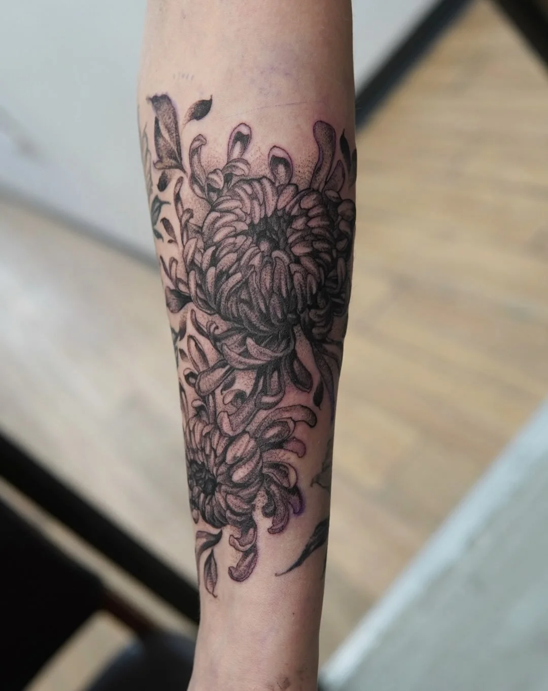 Chrysanthemums forever 😍

#dadtooer #floraltattoo #chrysanthemumtattoo