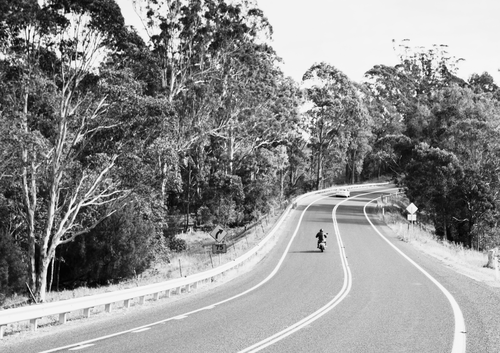 A winding two-lane road in a forested area with trees on both sides, a motorcycle and a car traveling on it, some traffic signs including a curve warning sign and a speed limit of 75.