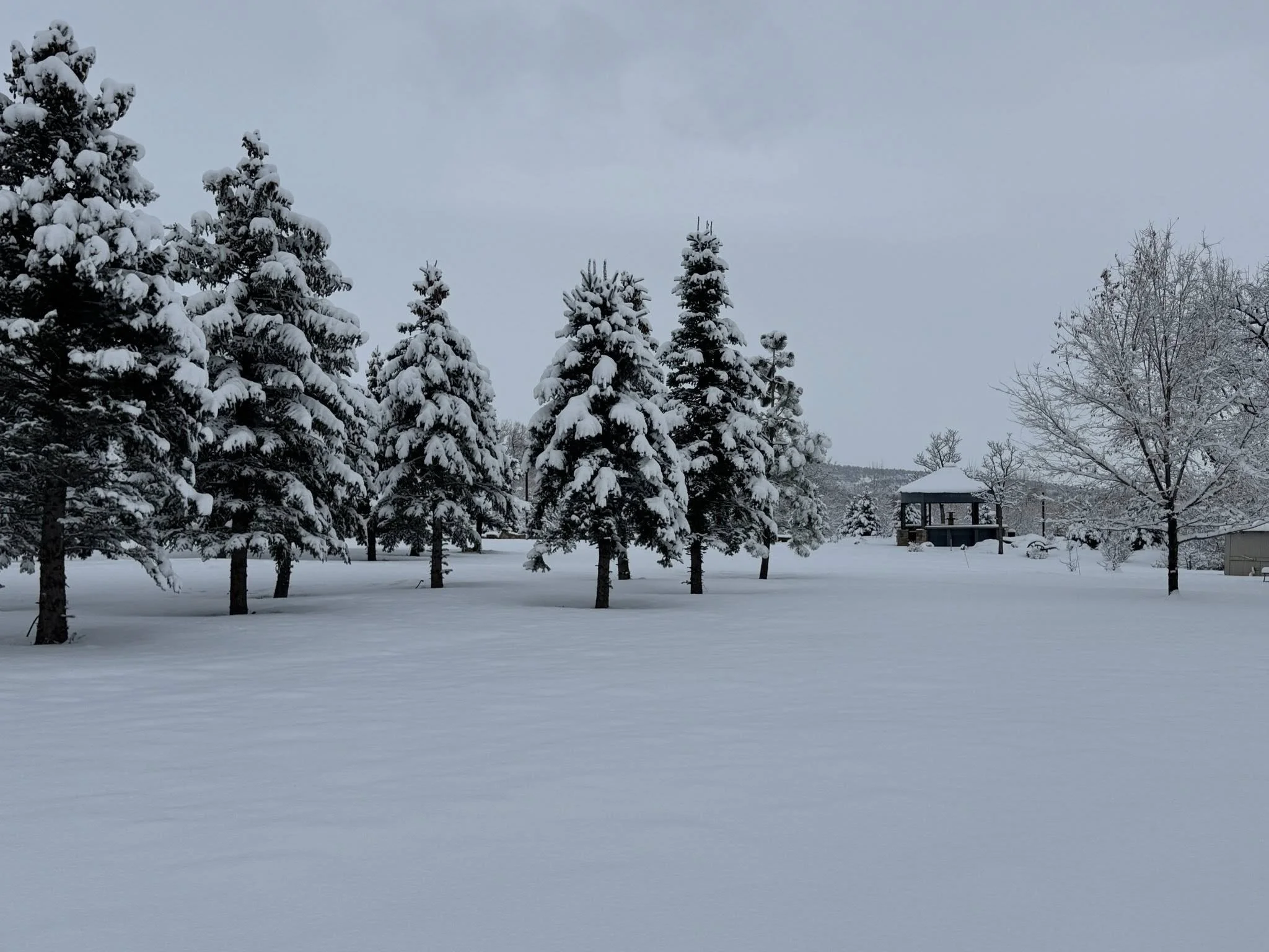 Snow-covered landscape with trees and a small gazebo in the distance under a cloudy sky.