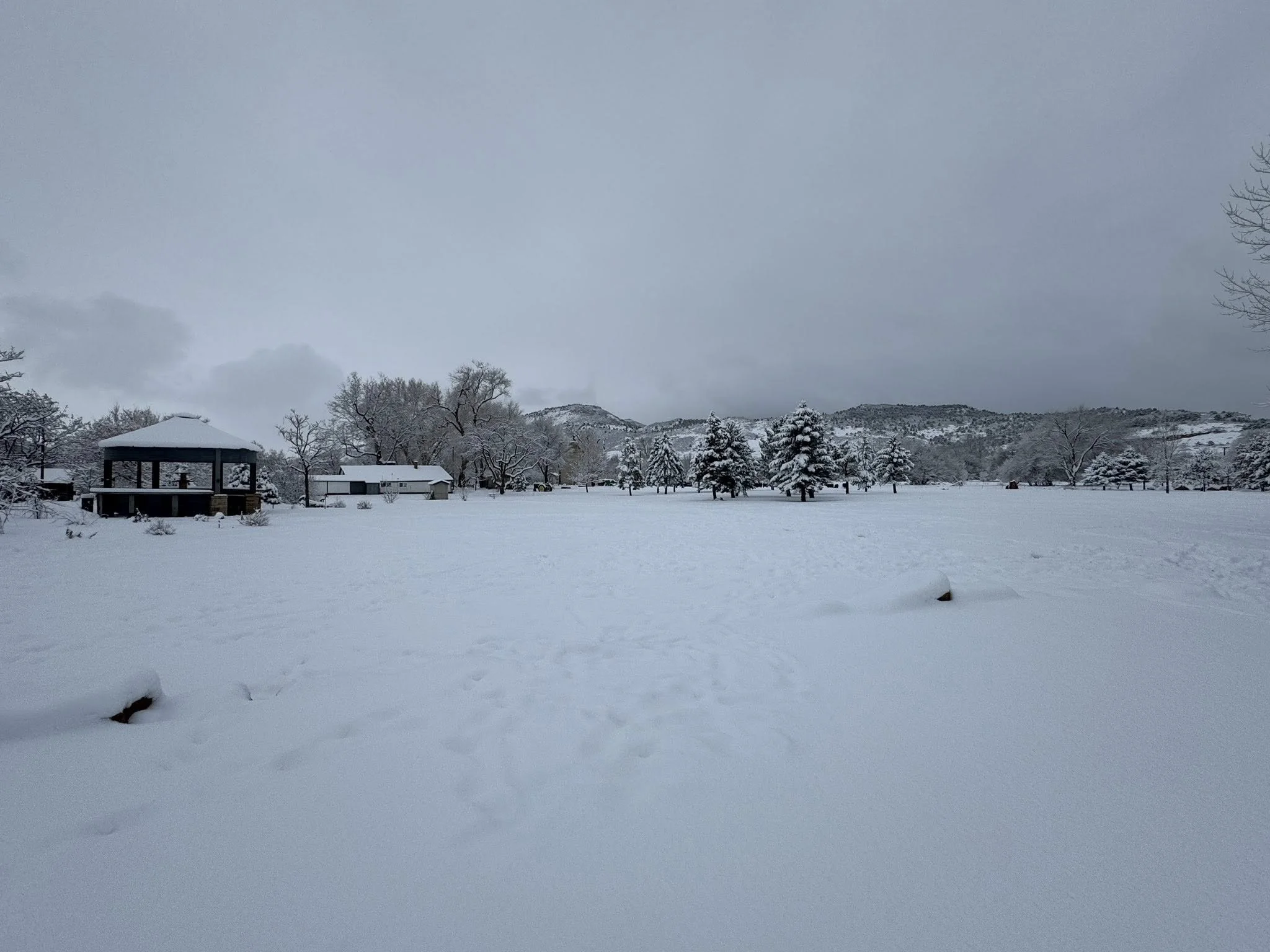 Snow-covered field with trees and structures in the distance under a cloudy sky.
