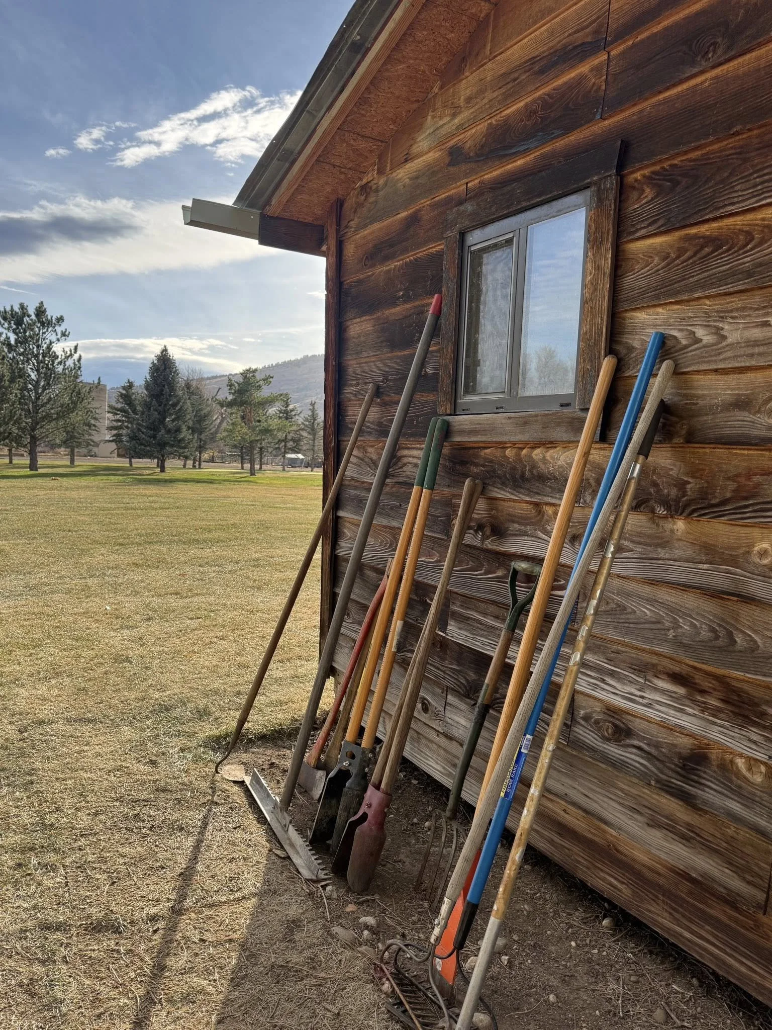Various gardening and yard tools, including rakes, shovels, and hoes, leaning against a wooden house with a small window. Open field and trees in the background under a partly cloudy sky.