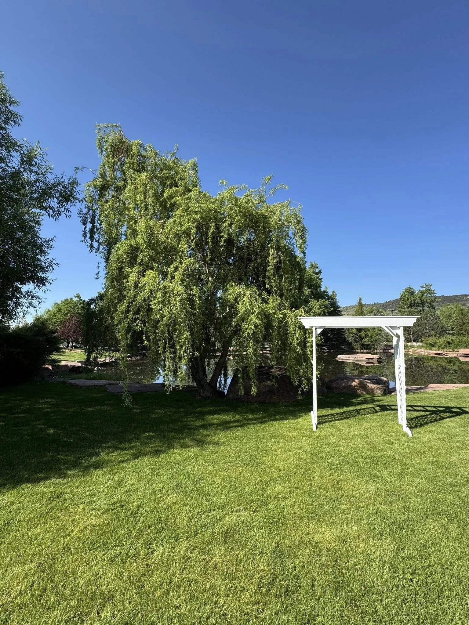 A grassy lawn with a large leafy tree near a body of water and a white wooden archway.