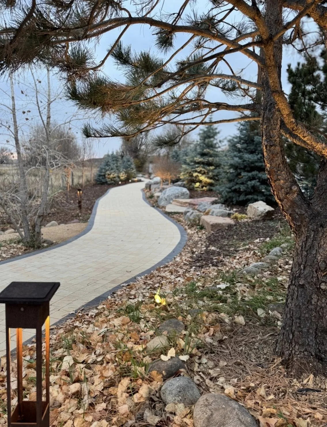 A winding paved pathway through a garden with trees, rocks, and fallen leaves, illuminated by landscape lights during dusk.