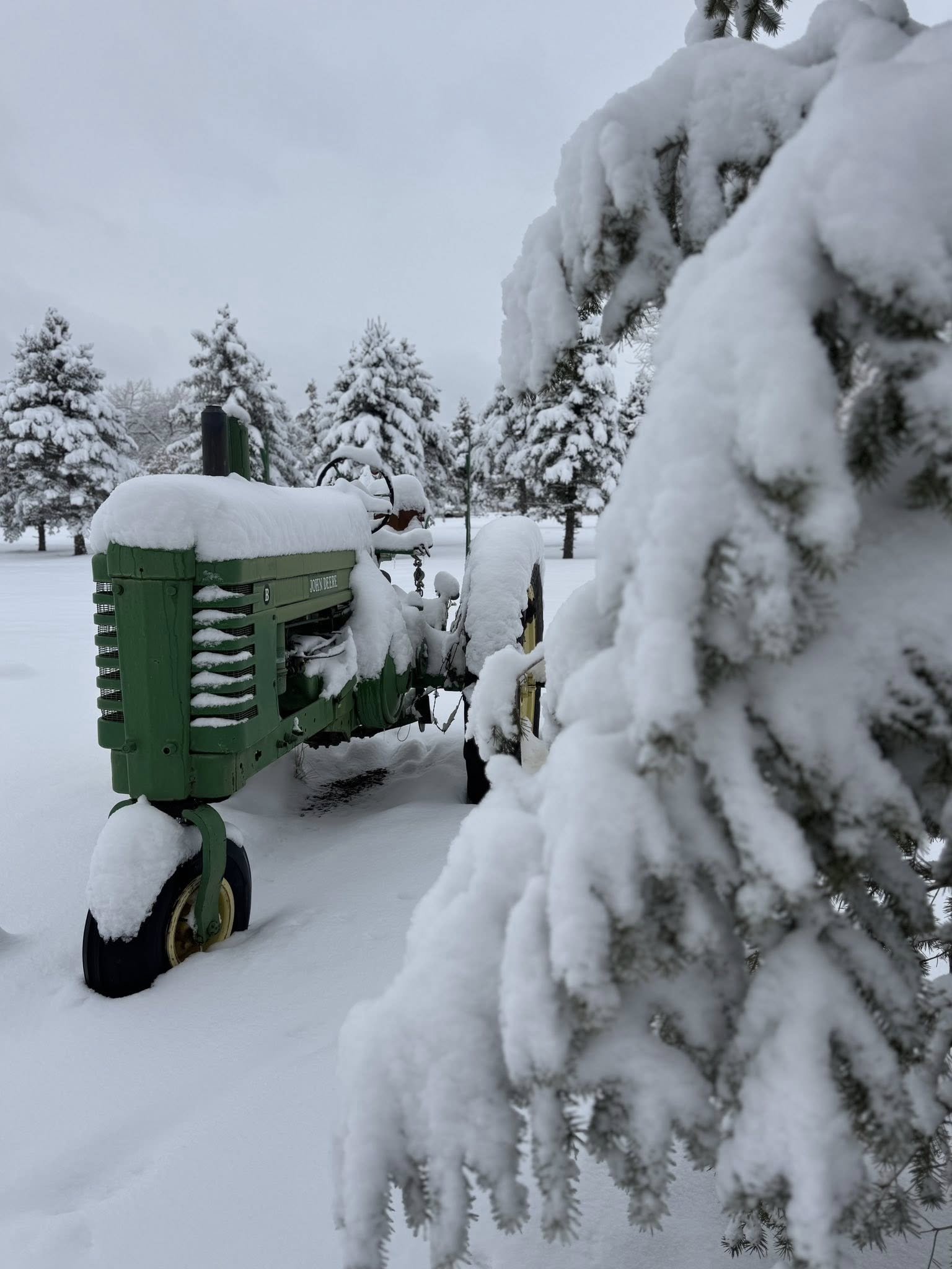 A green vintage tractor covered in snow, with snow-laden evergreen trees in the background on a snowy day.