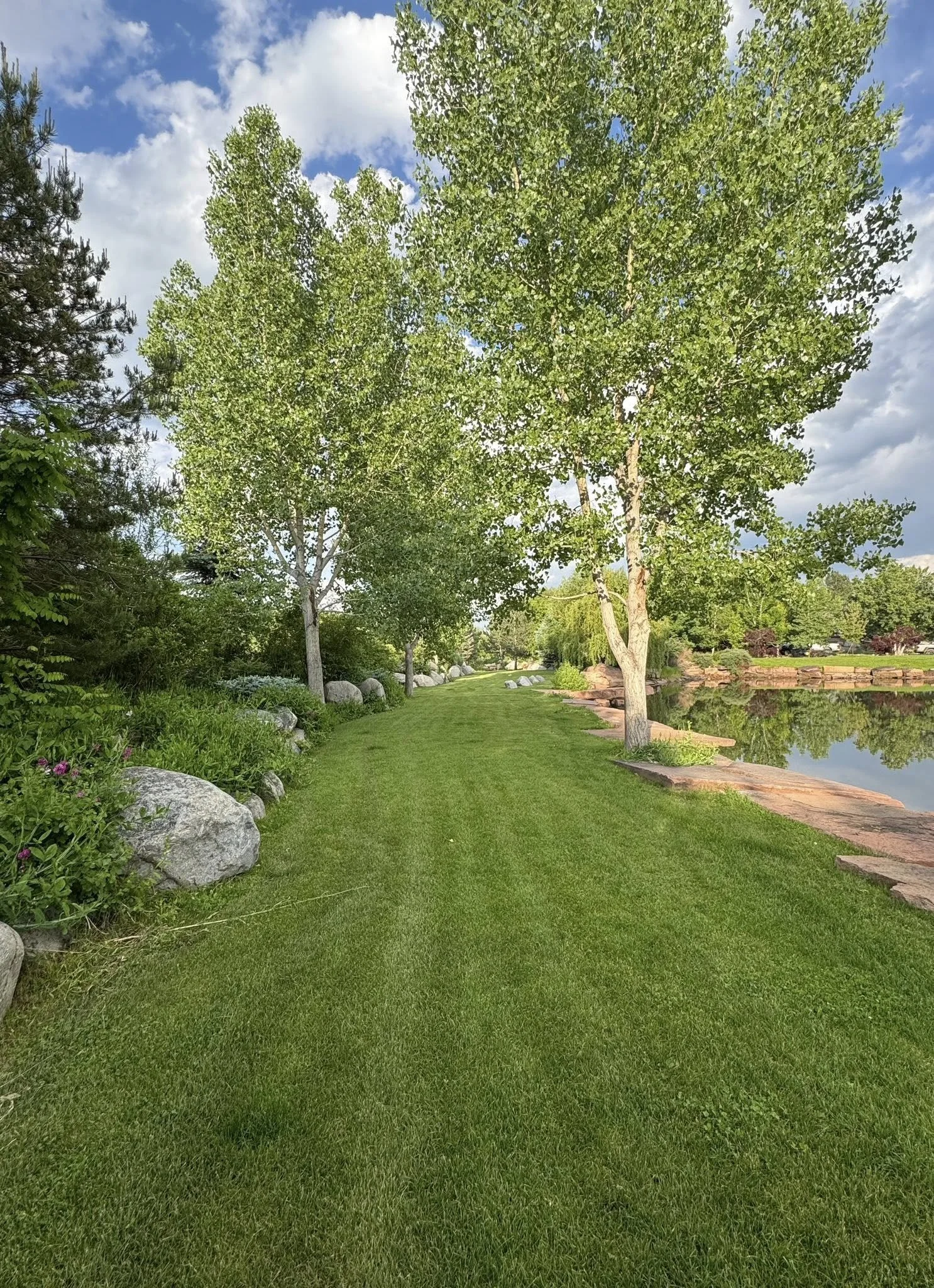 A scenic riverside park with a grassy walking path, green trees lining the path, rocks on the left side, and calm water on the right side reflecting the sky and trees.