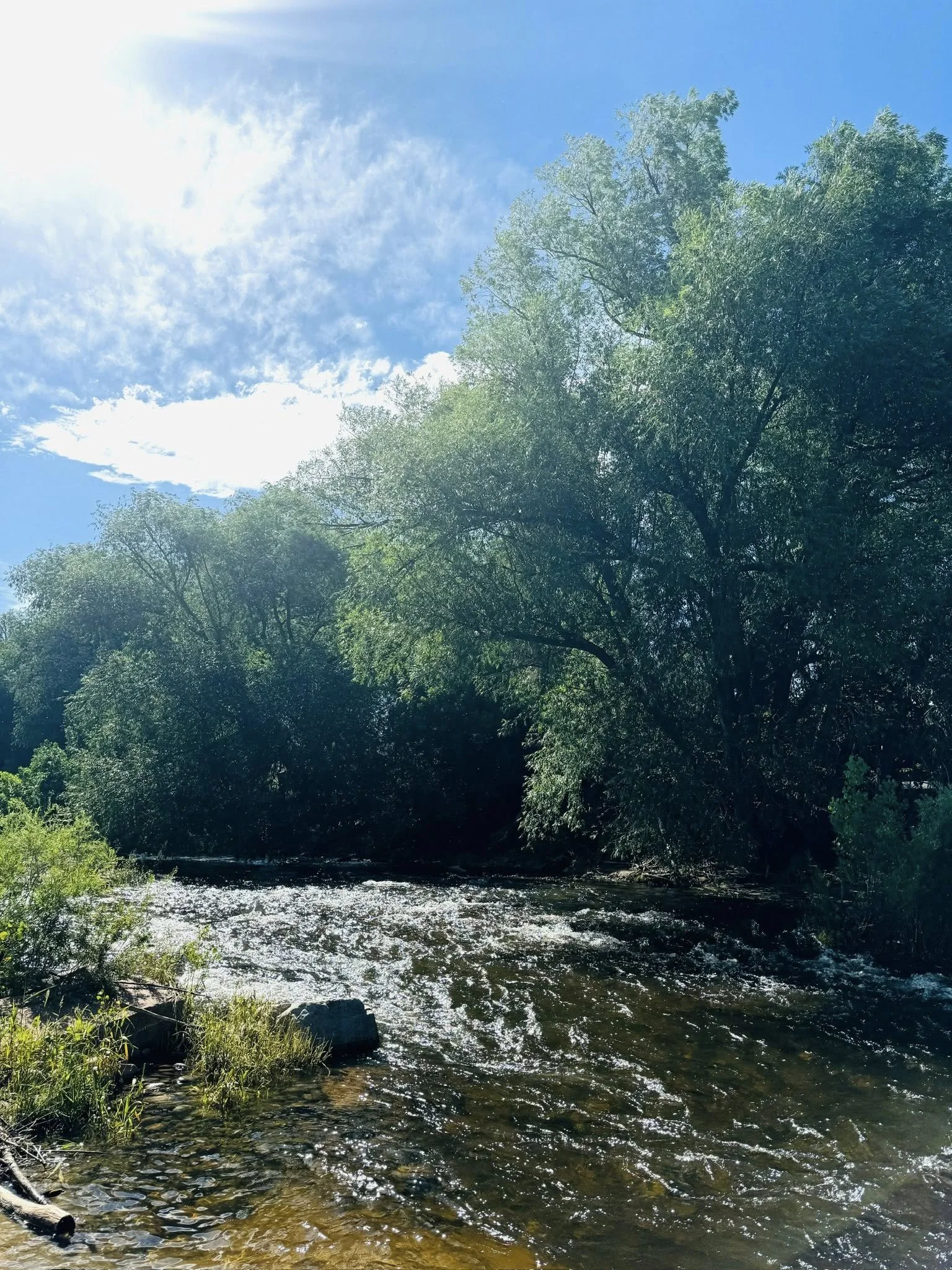 A peaceful river flowing through a lush green forest under a bright blue sky with scattered clouds.