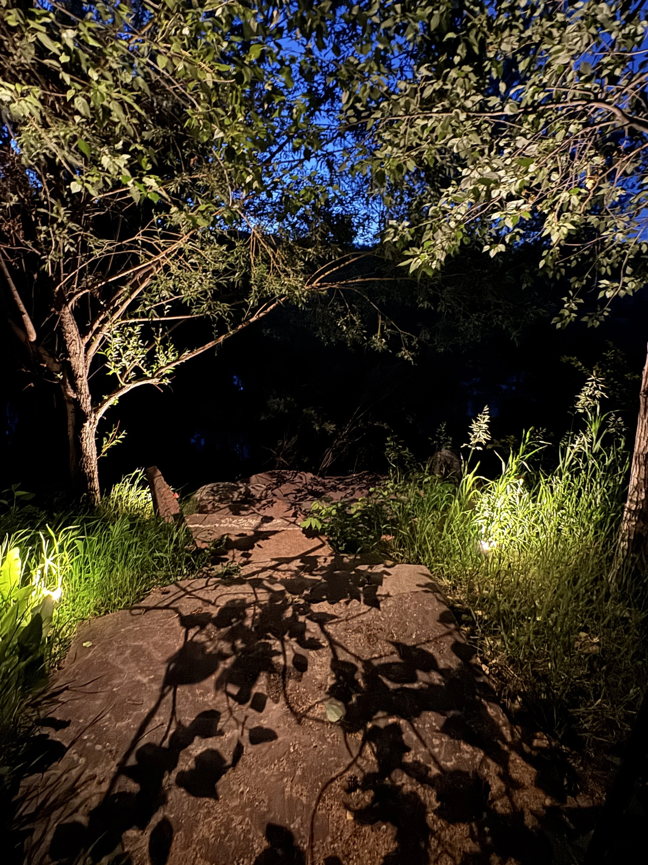 IMG_2076.jpeg