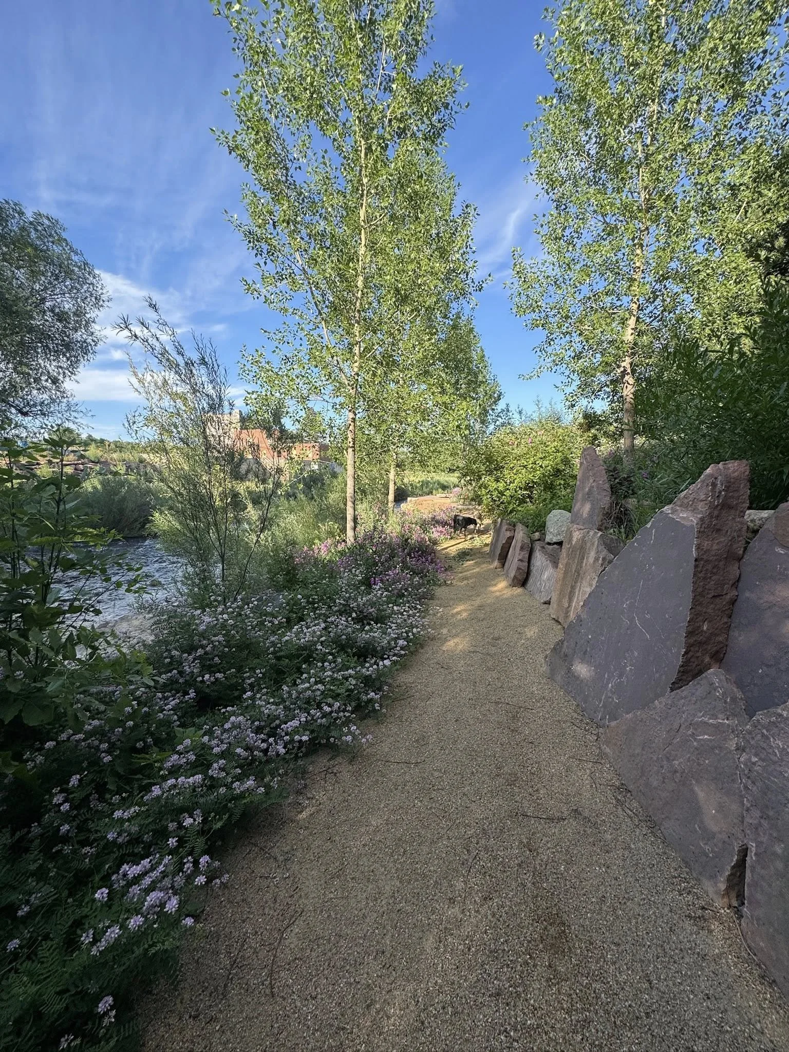 A dirt walking trail next to a stream with lush green trees and flowering plants on a sunny day.