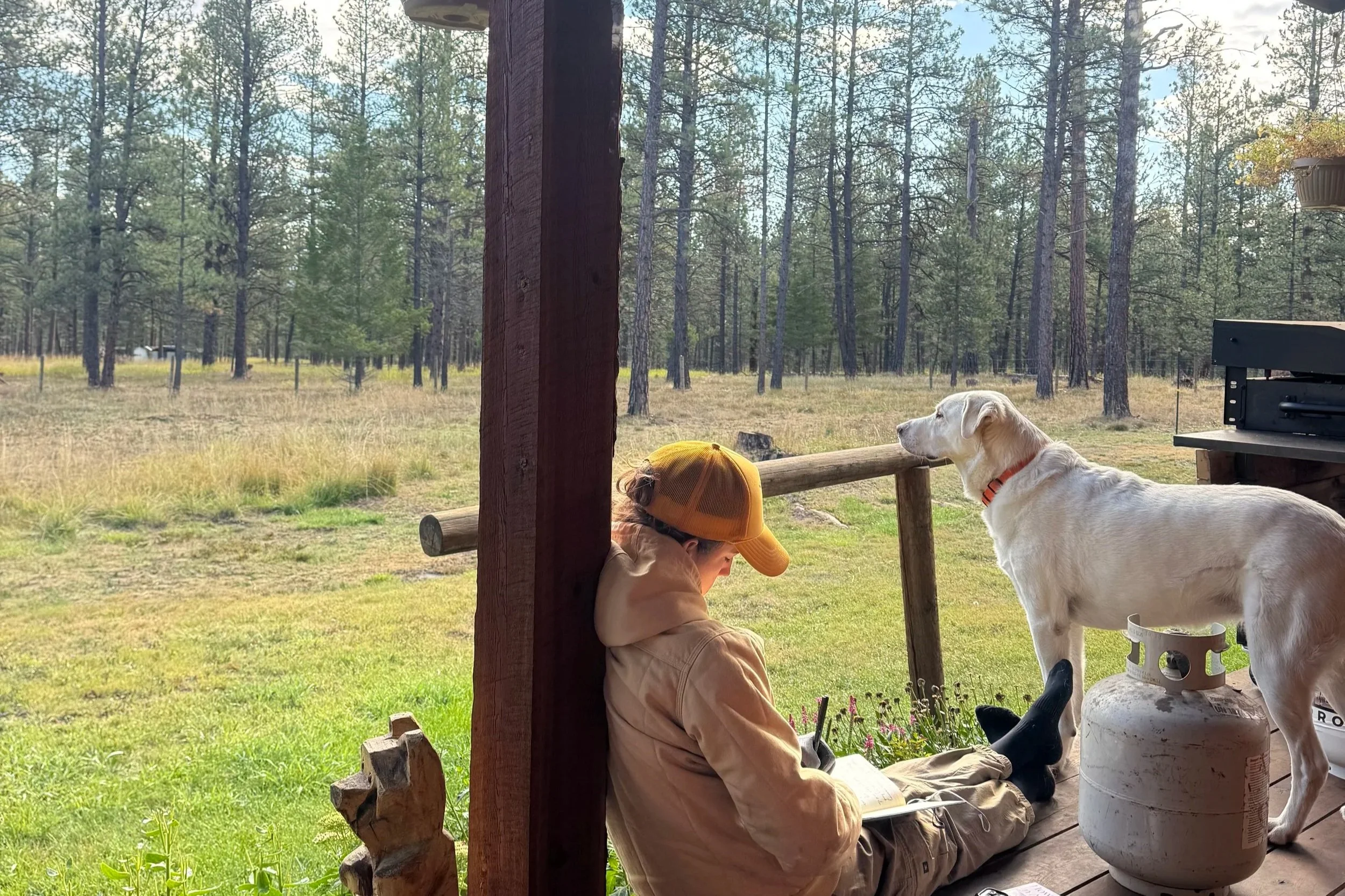 Working in MT - Sept ‘26