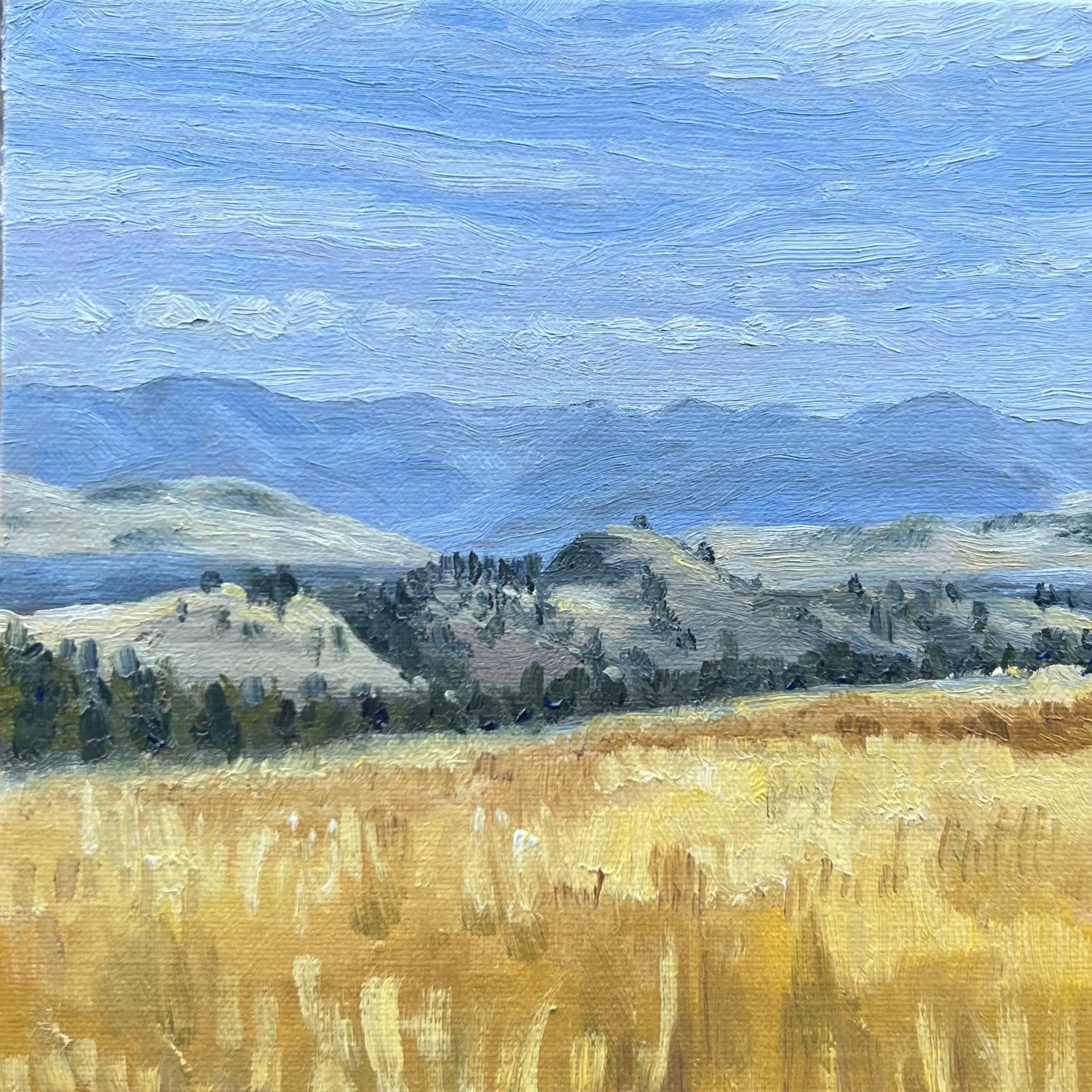 BLUE MOUNTAIN VIEW