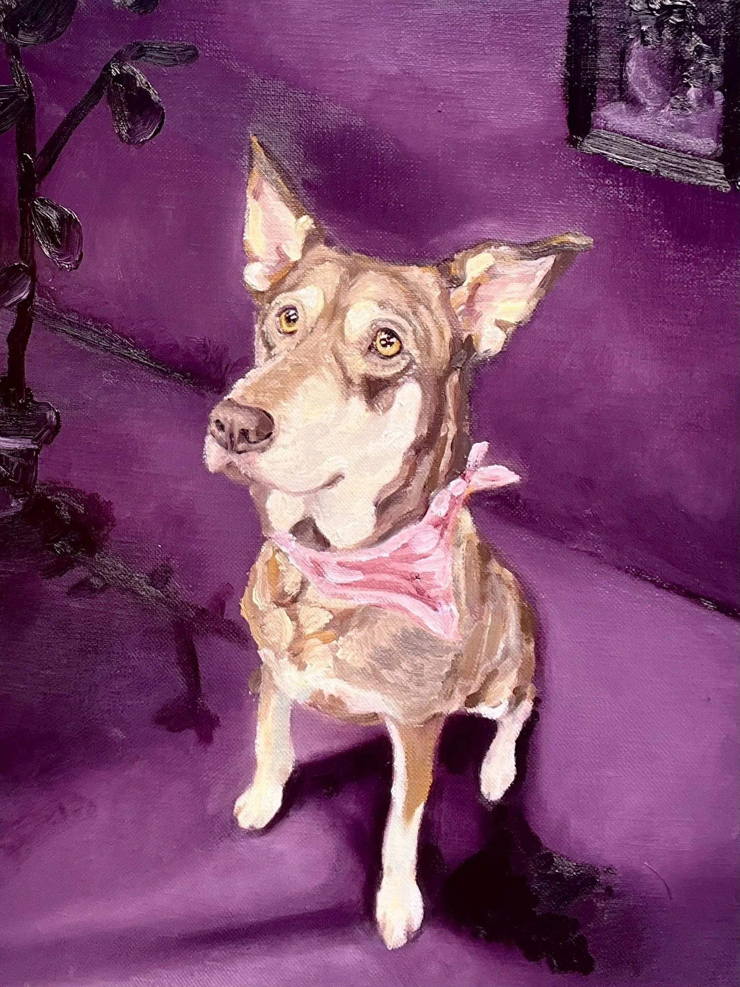 Cassidy - 12"x16" Oil on Canvas