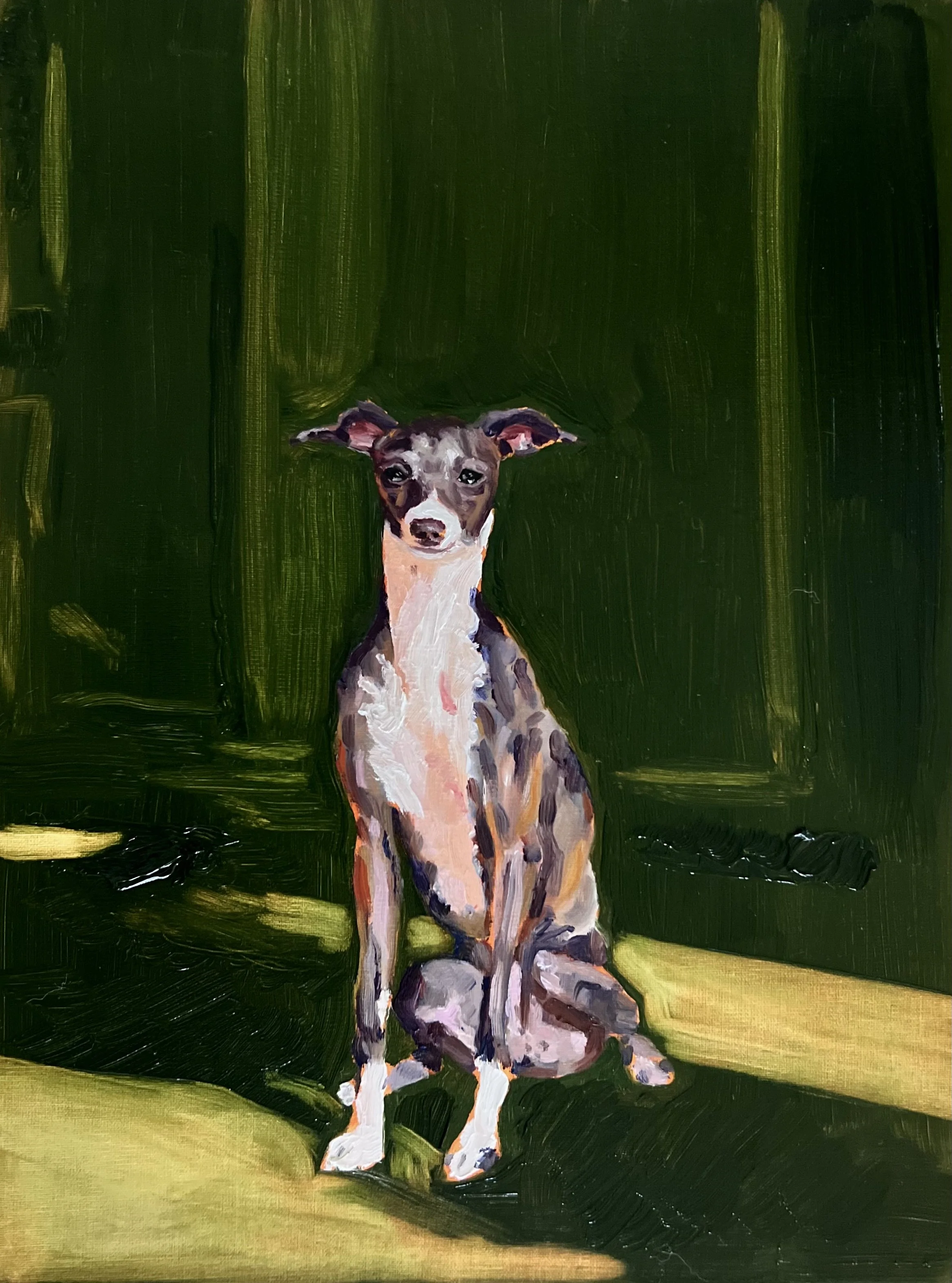 Ziti - 12"x16" Oil on Panel