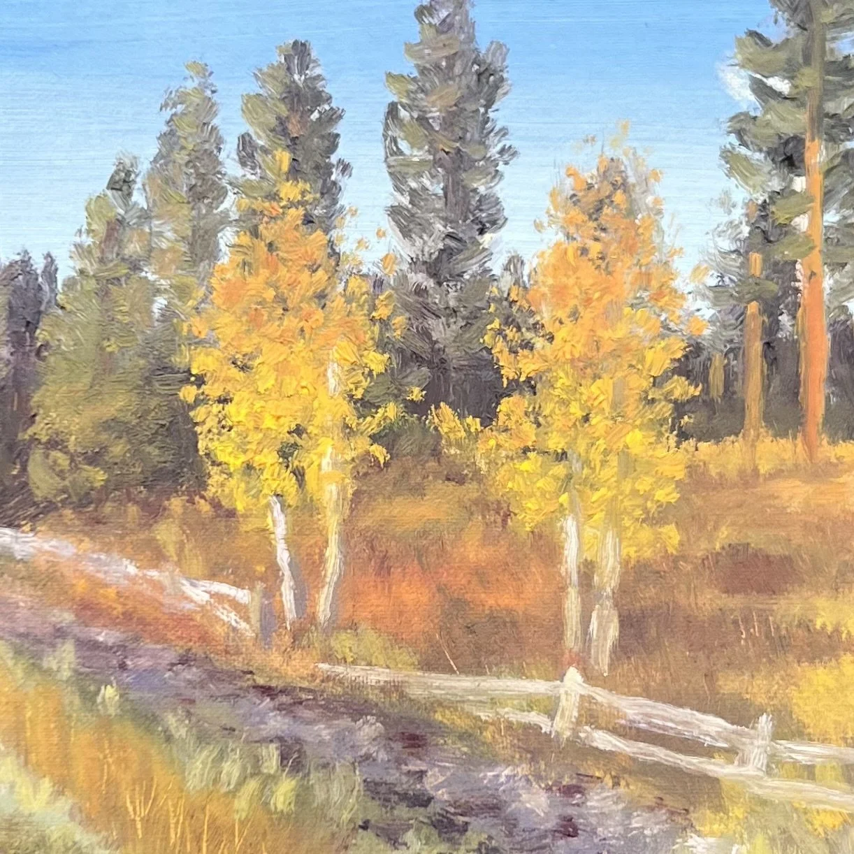 TWIN ASPEN