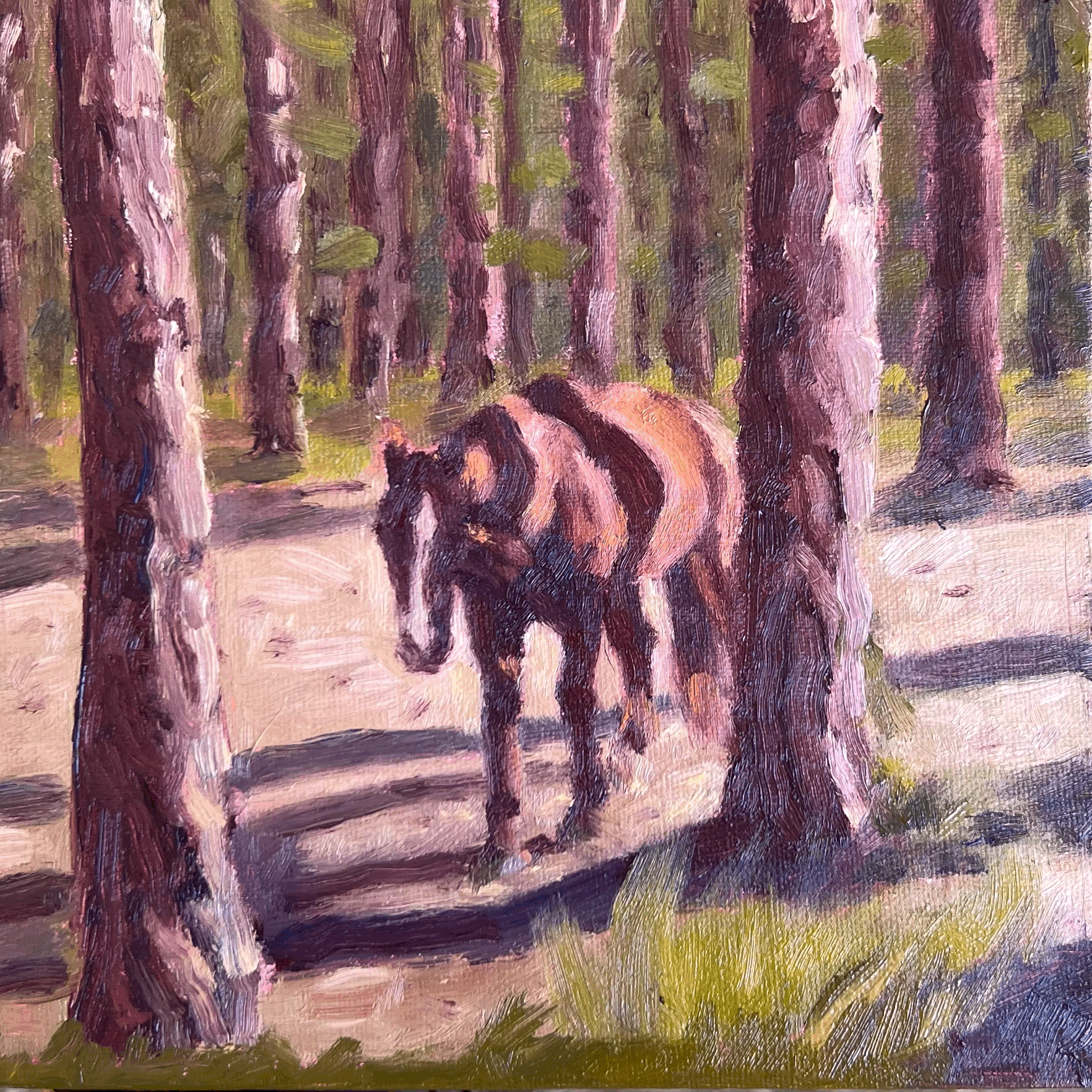 SHADOW HORSE