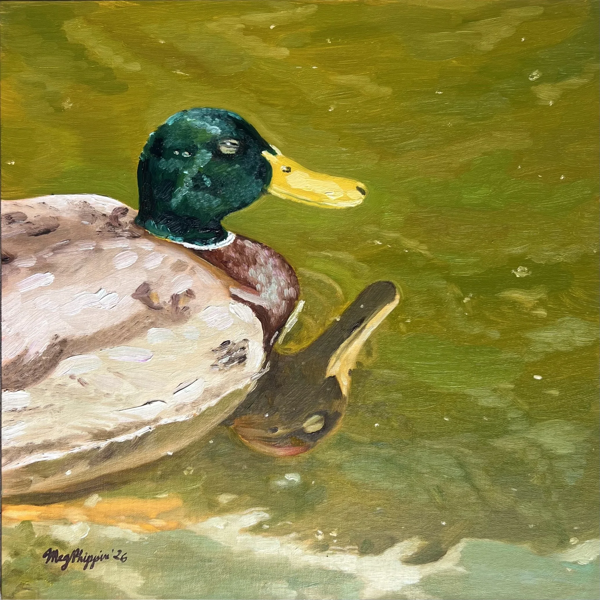 Sleepy Duck