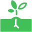 A simple drawing of a Christmas tree with a star on top.