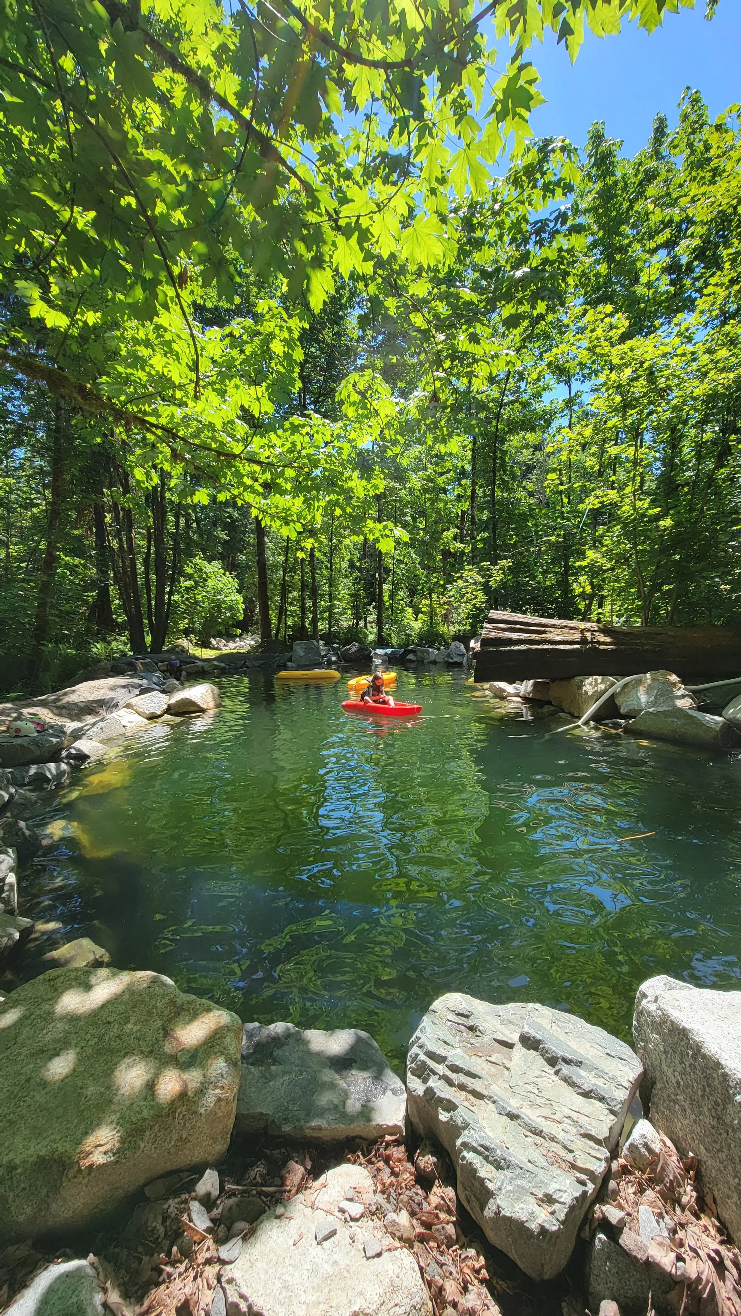 Natural Swimming Pool with Custom Waterfall built in Squamish, British Columbia by West Coast Natural Pools