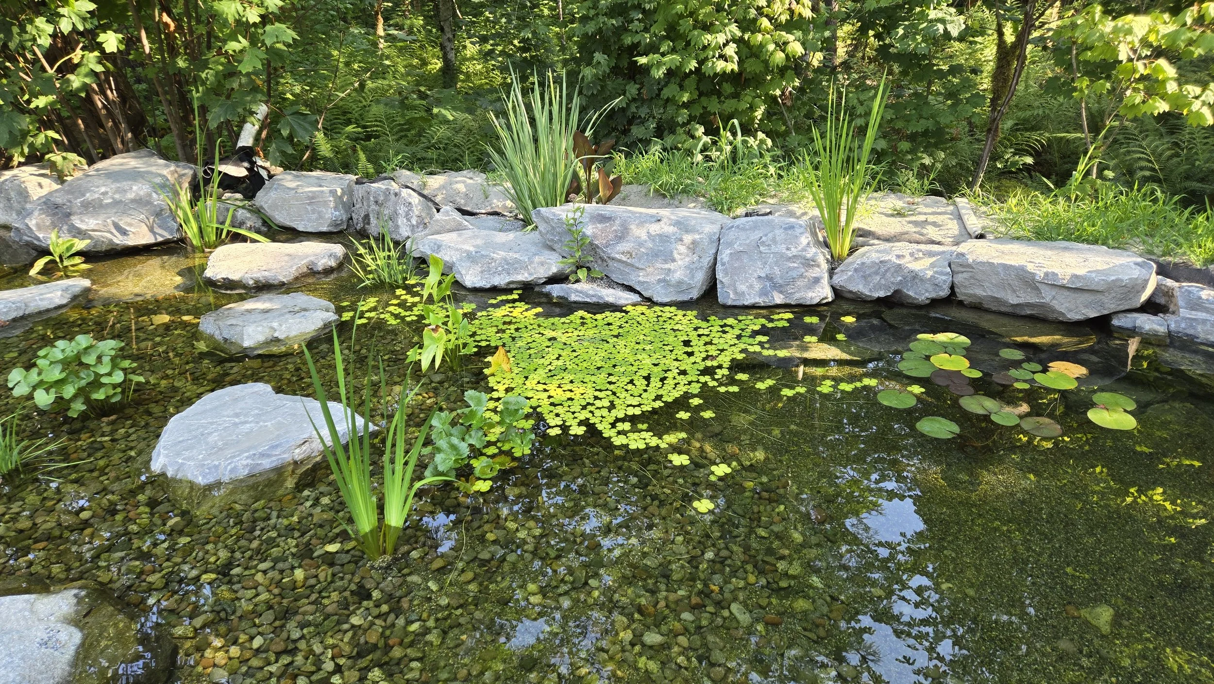 Hydroponics & Fish Ponds built in Vancouver, British Columbia
