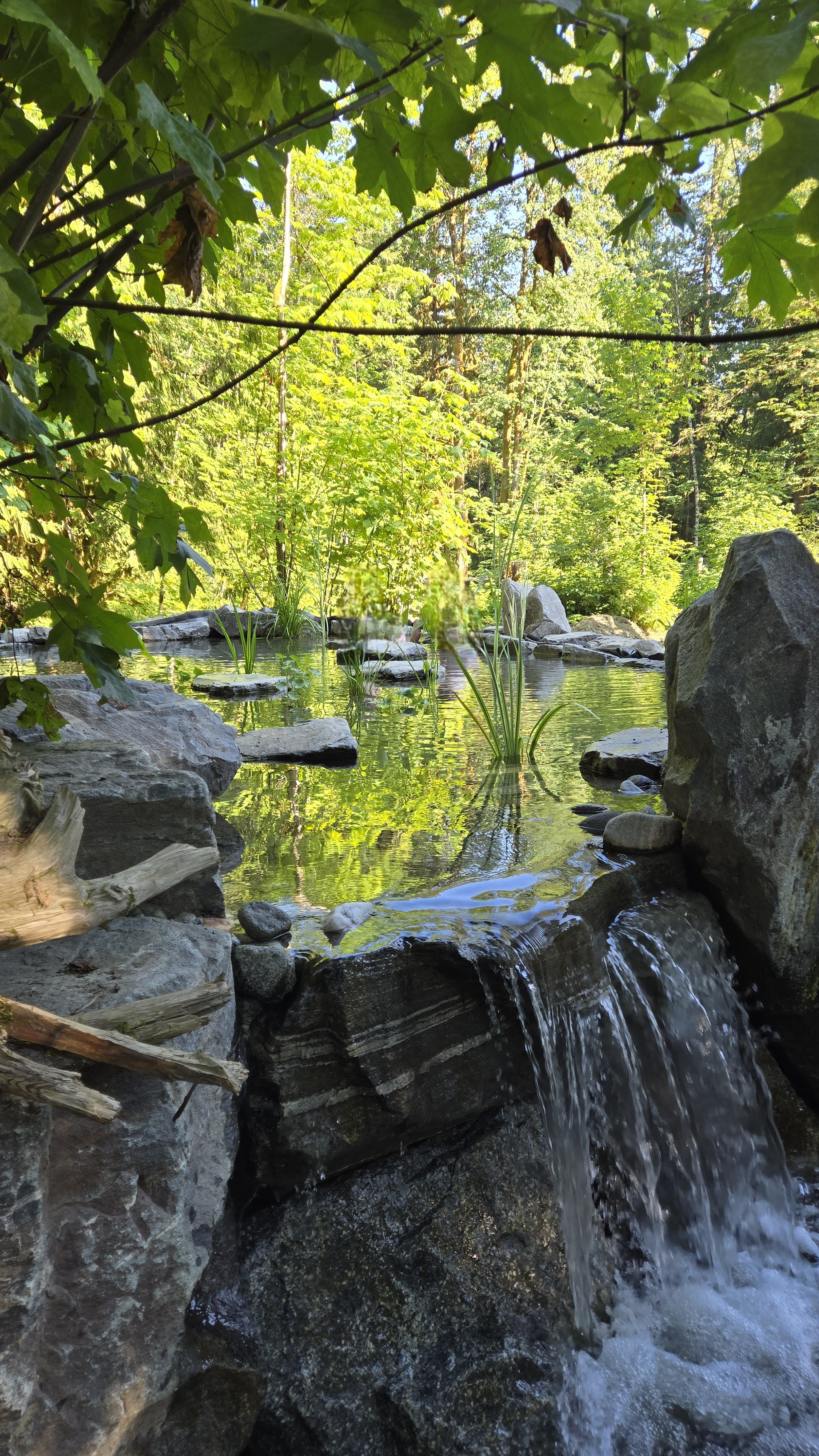 Hand Crafted Waterfall and Garden Stream in Squamish Backyard