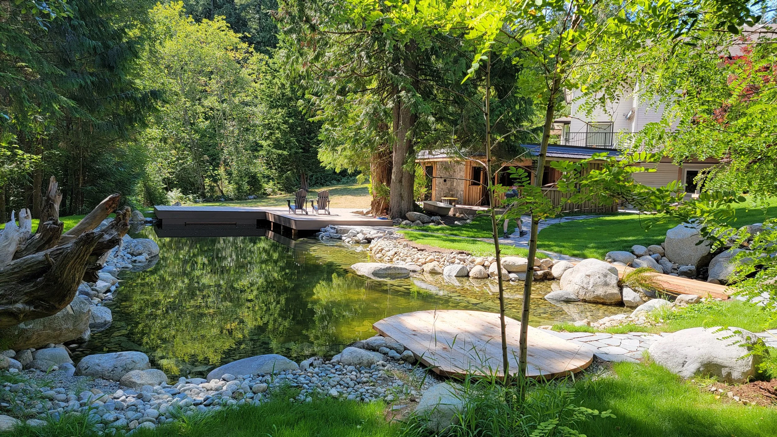 A natural swimming pond with custom decking and aquaponics landscaping built by West Coast Natural Pools in Vancouver, British Columbia