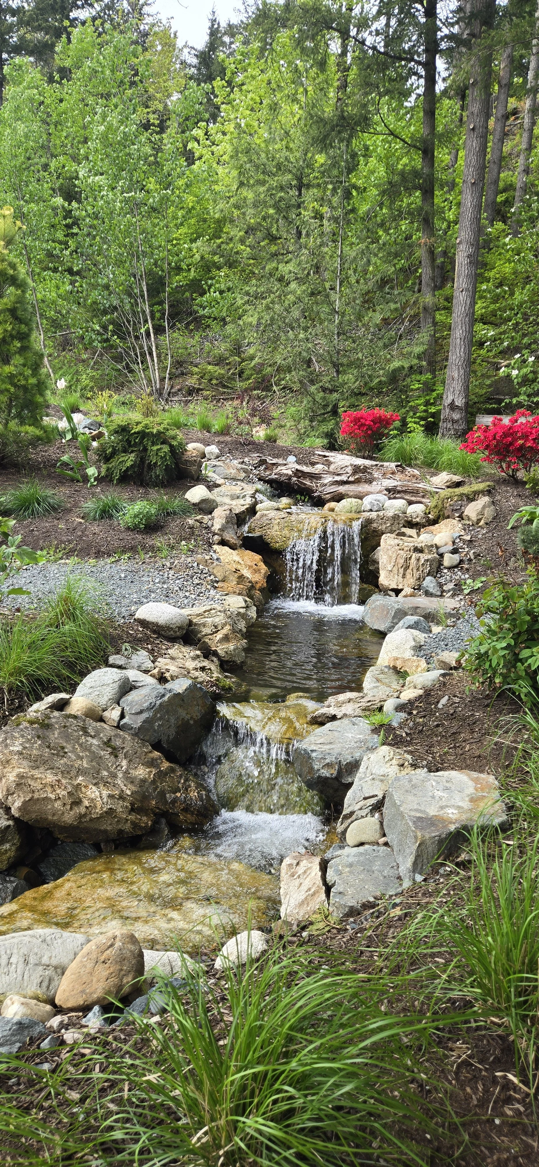 Hand Crafted Waterfall and Garden Stream in Squamish Backyard